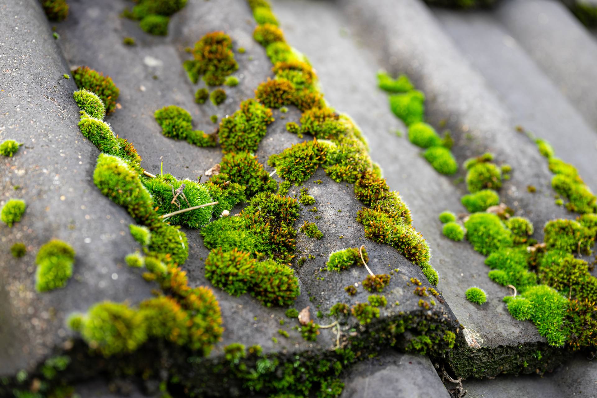 AdobeStock_309744123(1).jpeg AdobeStock_309744123(1).jpeg